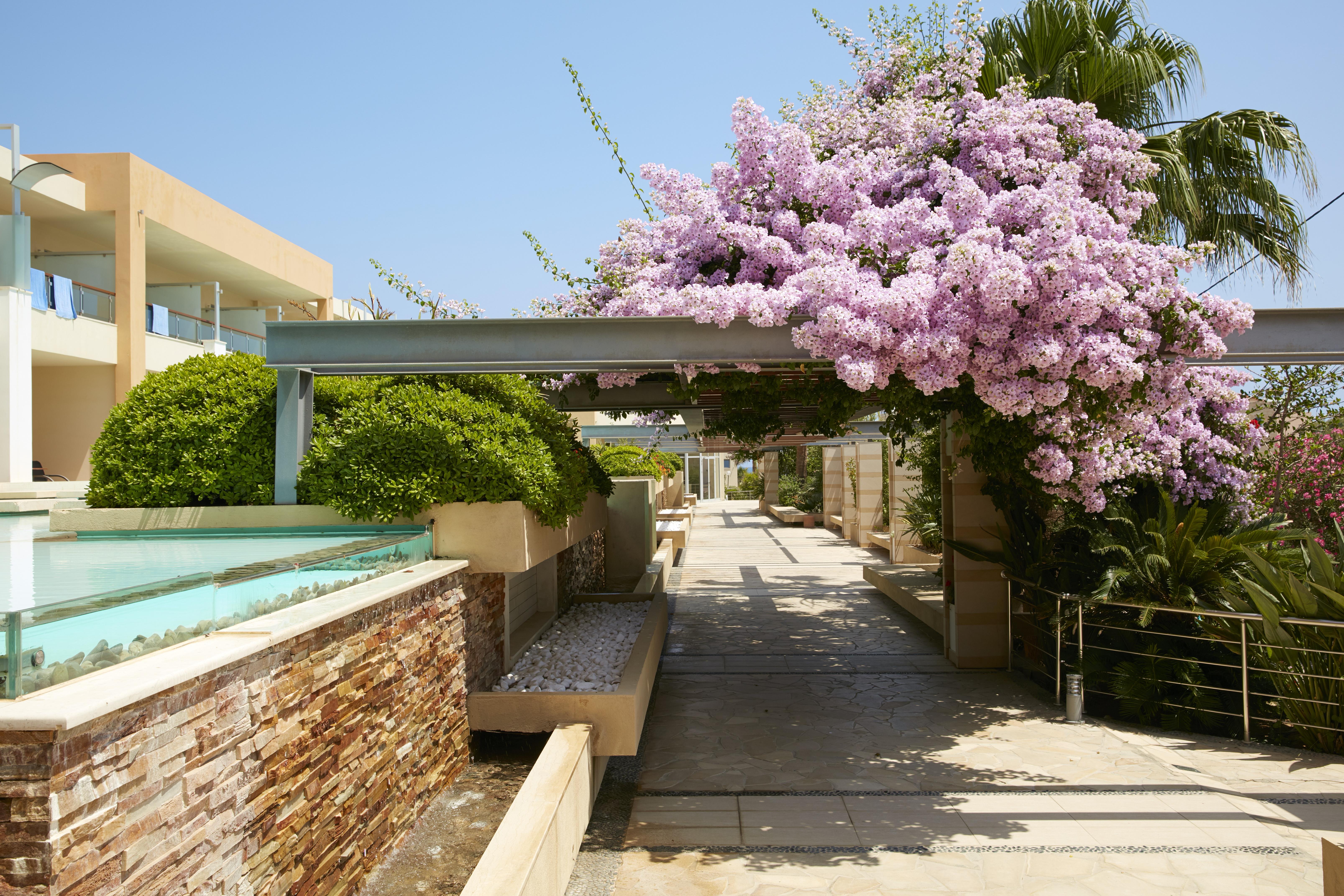 Minoa Palace Resort Platanés Exterior foto